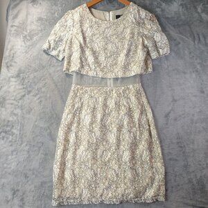 ABS Allen Schwartz Women Ivory Silver Lace Illusion Mesh Sheath Dress Size‎ 2